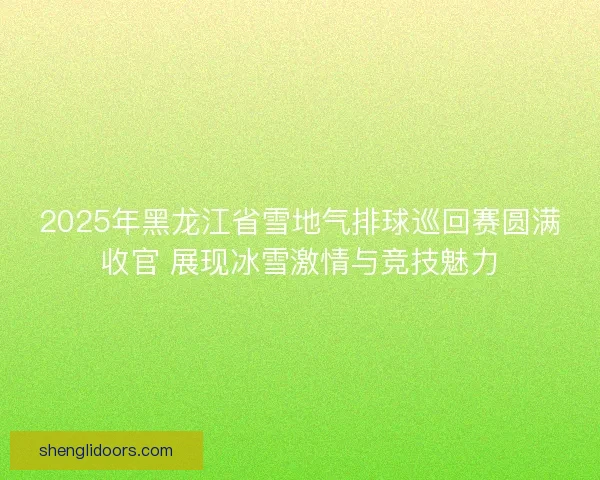 2025年黑龙江省雪地气排球巡回赛圆满收官 展现冰雪激情与竞技魅力